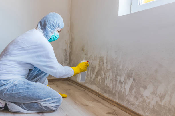 Mold inspector in Huntingdon performing thermal imaging